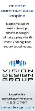 Vision Design Group