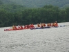att00336